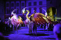 Les flamands roses