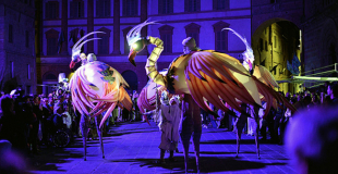 Les flamants roses