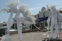Echassiers blancs