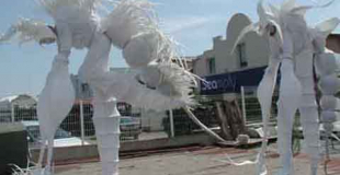 Echassiers blancs