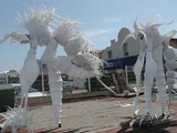 Echassiers blancs