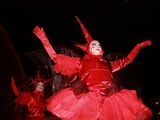 Echassiers rouges - Les Rouges Coeurs