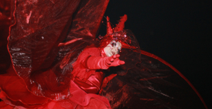 Echassiers rouges - Les Rouges Coeurs