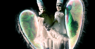 Echassiers blancs lumineux - Les anges