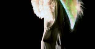 Echassiers blancs lumineux - Les anges