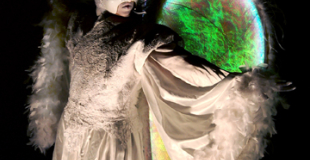 Echassiers blancs lumineux - Les anges