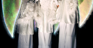 Echassiers blancs lumineux - Les anges