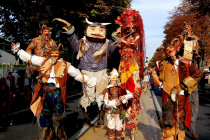 Les Boblins des Bois