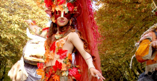 Les Boblins des Bois