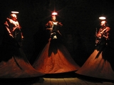 Celestroï