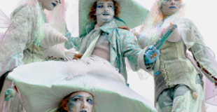 Echassiers pirates et sirènes