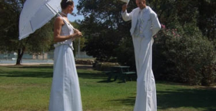 Echassiers élégants