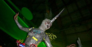 Echassiers à rebond