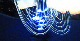 Echassiers nocturnes déambulatoires