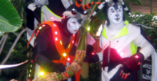 Echassiers à rebond