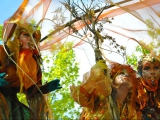 Les insectes