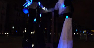 Echassiers nocturnes déambulatoires