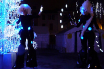 Echassiers nocturnes déambulatoires