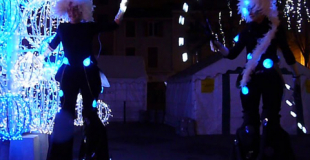 Echassiers nocturnes déambulatoires