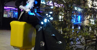 Echassiers nocturnes déambulatoires