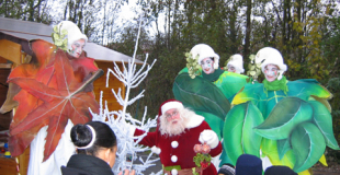 Parade du Père-Noël