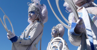 Echassières blanches