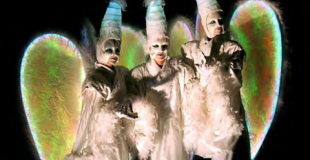 Echassiers blancs lumineux - Les anges