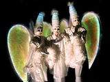 Echassiers blancs lumineux - Les anges