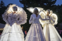 Echassiers blancs lumineux