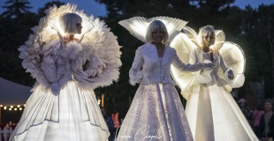 Echassiers blancs lumineux