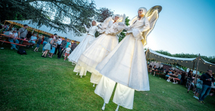 Echassiers blancs lumineux