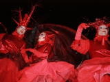 Echassiers rouges pour la traditionnelle Fête des Lumières (69)