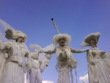 Echassiers blancs aux ailes légères en soirée évènementielle (01)