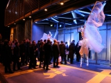 Echassiers blancs en accueil d'une soirée de voeux (92)