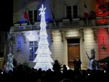 Echassiers lumineux pour une illumination de sapin de Noël (34)