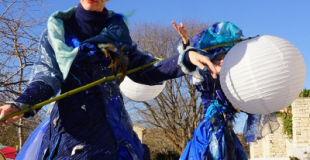 Echassiers bleus et argentés