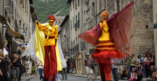 Echassiers femmes fleurs-papillons