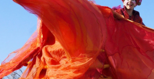 Echassières colorées papillons