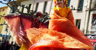 Echassiers aux ailes aériennes