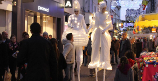 Des échassiers blancs, musicaux et lumineux