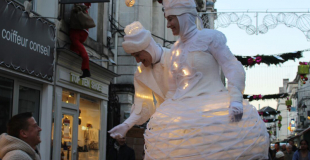 Des échassiers blancs et musicaux