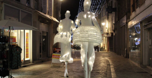 Des échassiers musicaux et lumineux