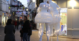 Des échassiers blancs et lumineux avec musique