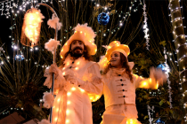 échassiers lumineux