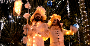échassiers lumineux
