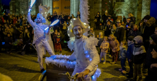 échassiers blancs lumineux